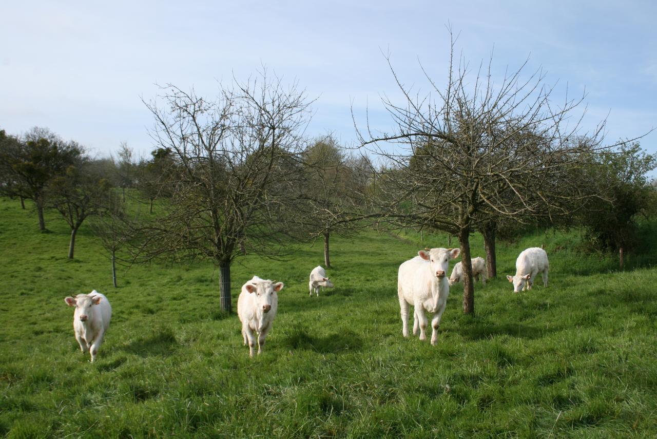 Chateau De Canisy Eksteriør billede