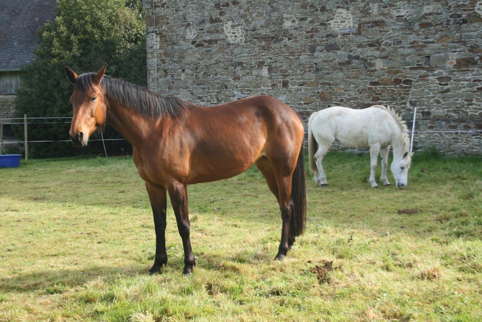 Chateau De Canisy Eksteriør billede